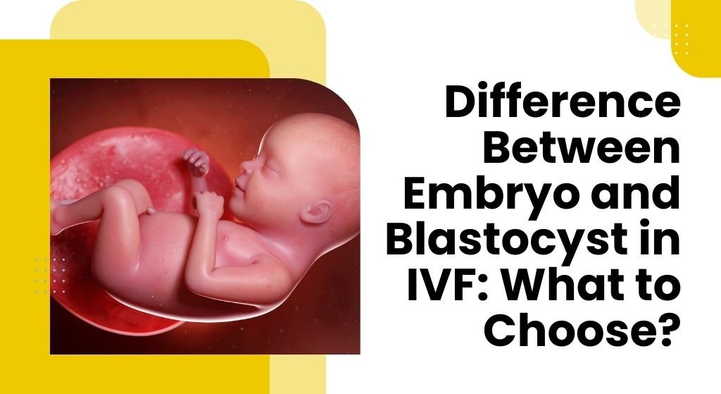 Difference Between Embryo and Blastocyst in IVF: What to Choose?